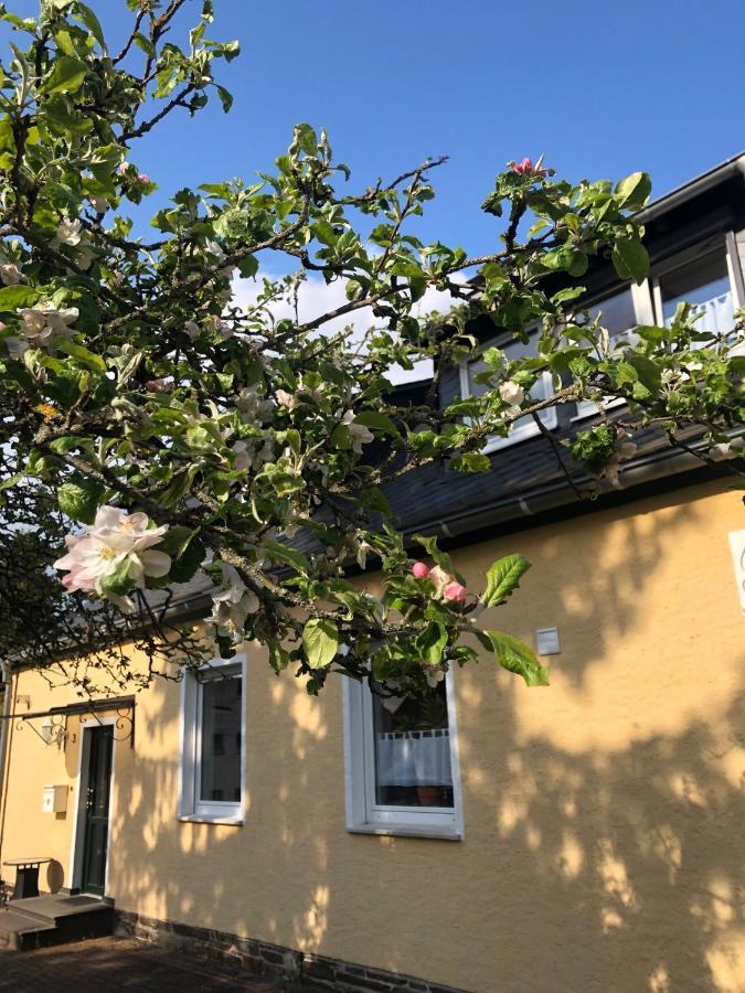 Am Apfelbaum, Ein Ferienhaus Zwischen Rhein Und Mosel Kastellaun Exteriör bild