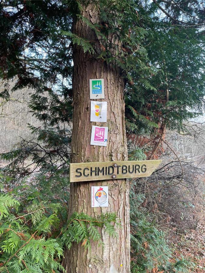 Am Apfelbaum, Ein Ferienhaus Zwischen Rhein Und Mosel Kastellaun Exteriör bild