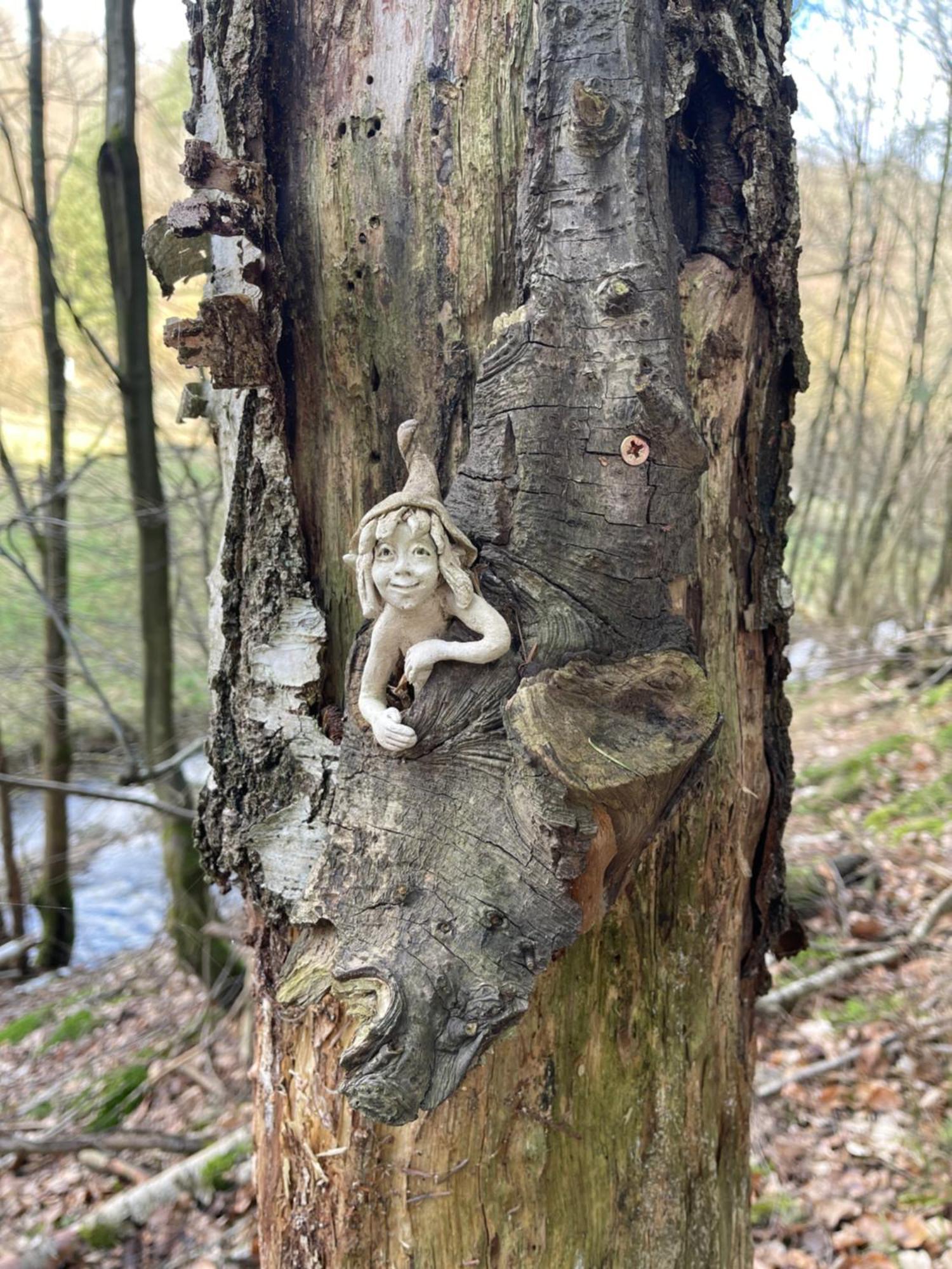Am Apfelbaum, Ein Ferienhaus Zwischen Rhein Und Mosel Kastellaun Exteriör bild
