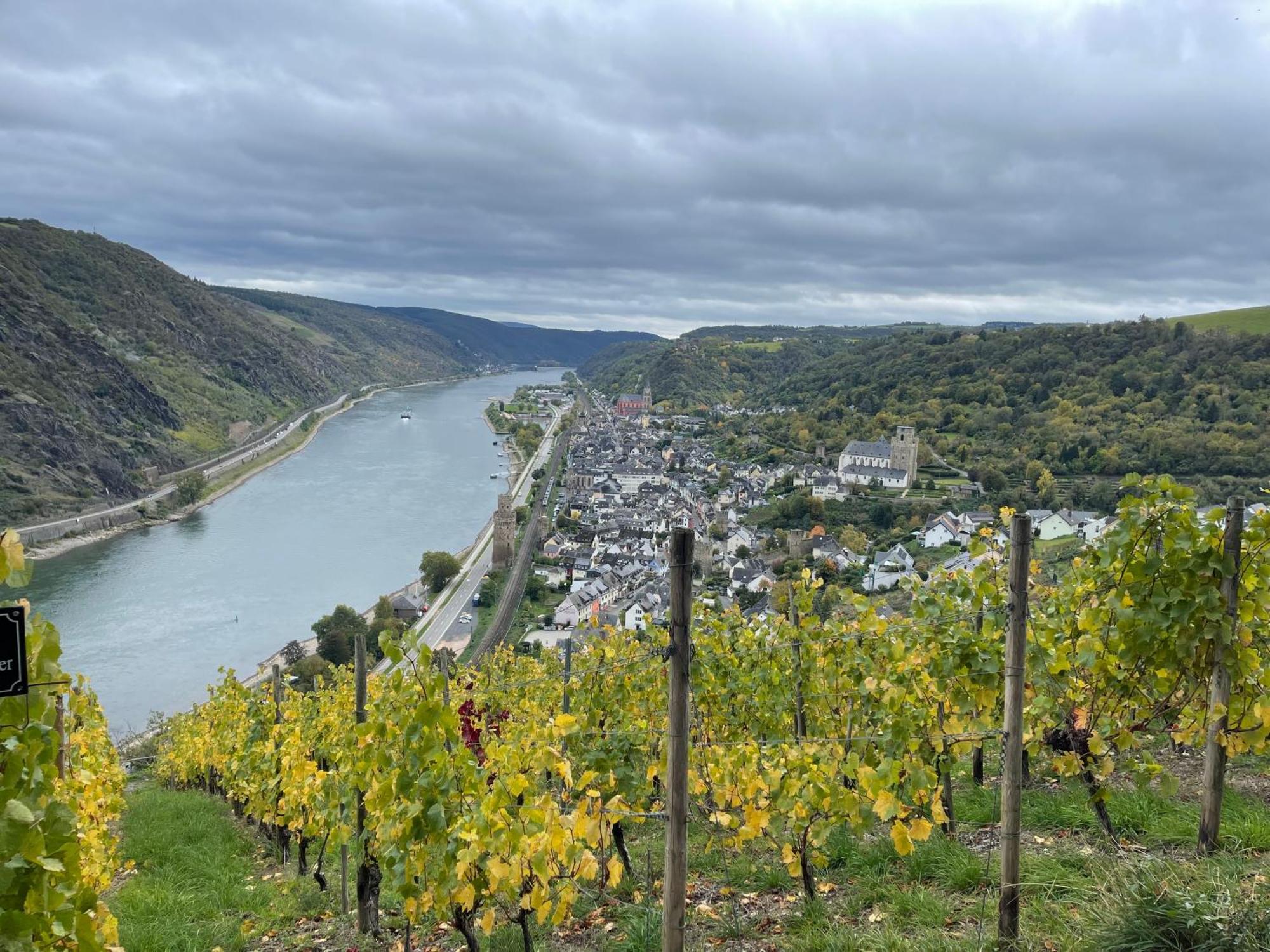 Am Apfelbaum, Ein Ferienhaus Zwischen Rhein Und Mosel Kastellaun Exteriör bild
